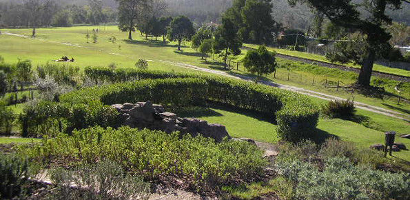 Garden-Route-Botanical-Garden-1